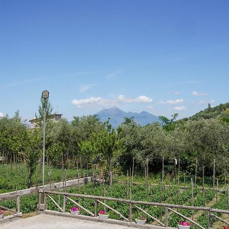 Casa Fiorita Bed & Breakfast Gragnano Dış mekan fotoğraf