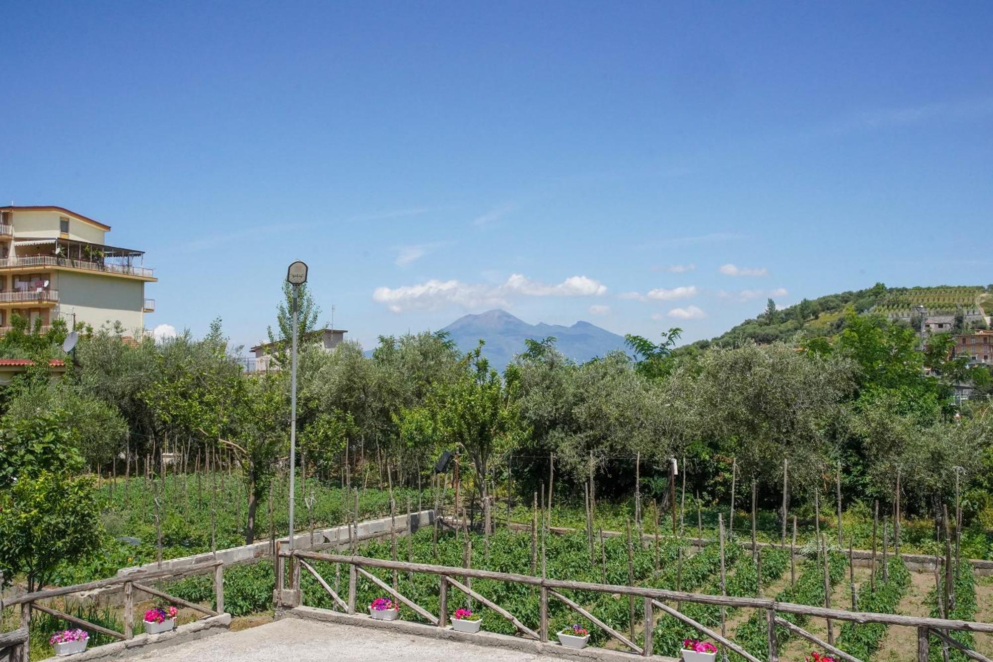 Casa Fiorita Bed & Breakfast Gragnano Dış mekan fotoğraf