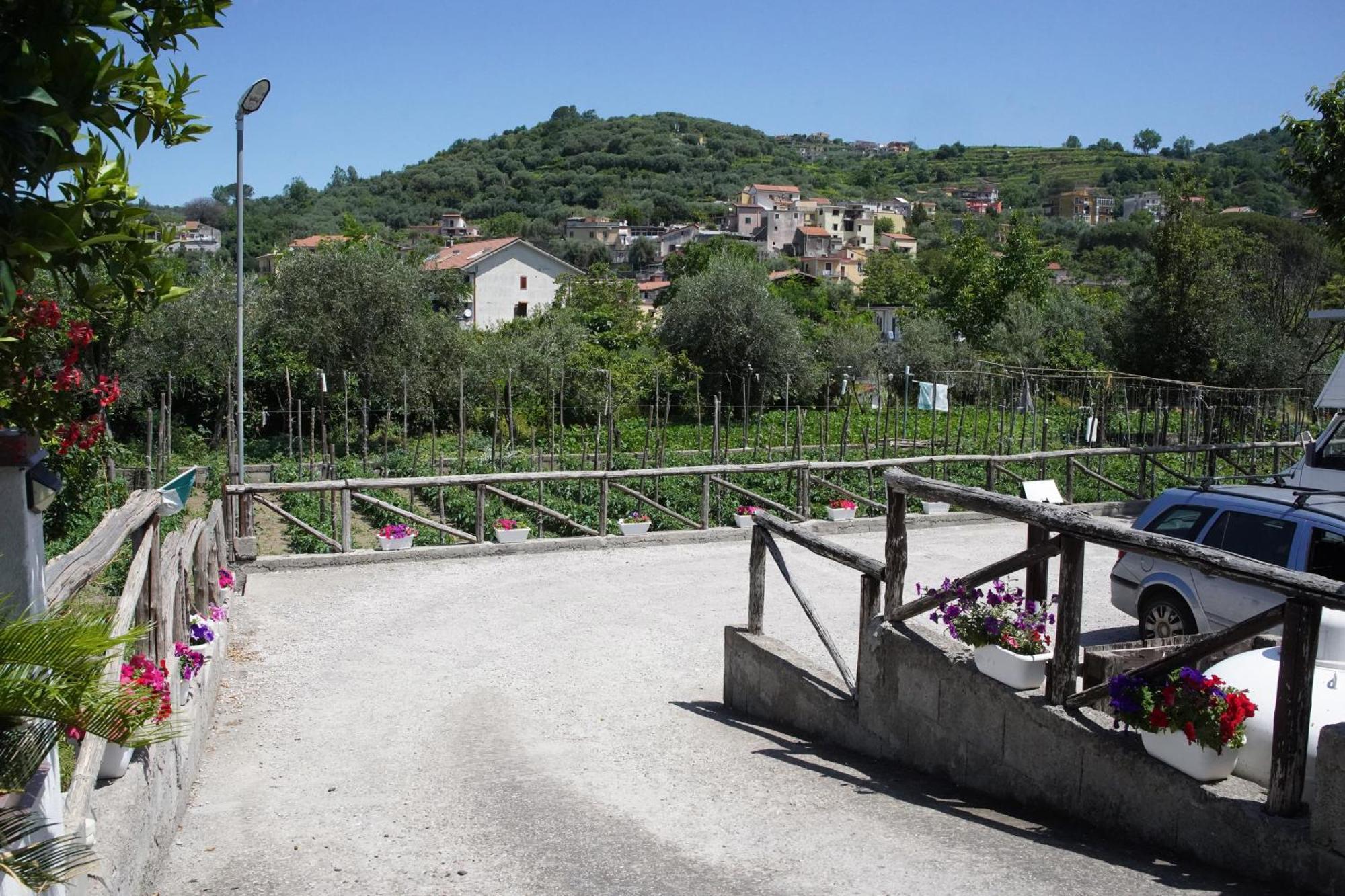 Casa Fiorita Bed & Breakfast Gragnano Dış mekan fotoğraf